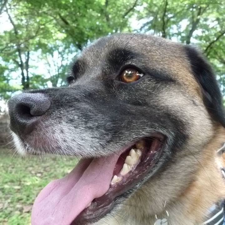 55c93e98 f1f4 4da3 9ecb a0fb48af08c7 1577018291390