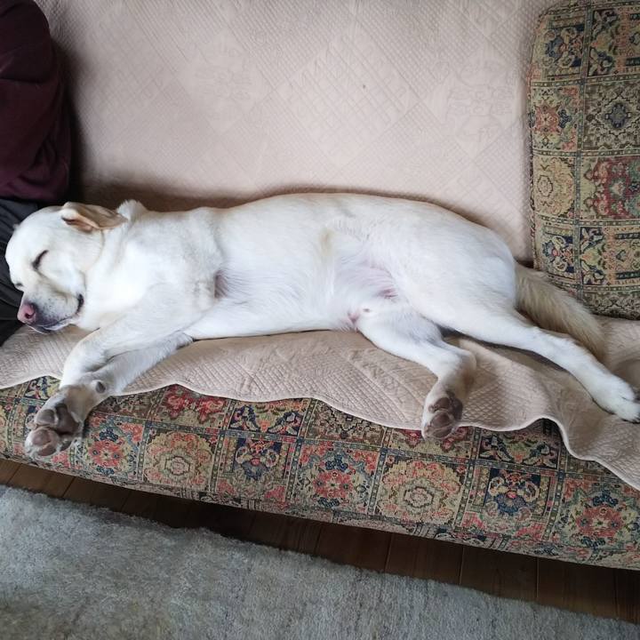 55c94ae6 510d 4a20 9002 ac87b64e3e83 1556508141031