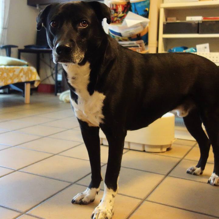 55c9a2c9 07bc 4245 8902 197c016981b1 1684199043200