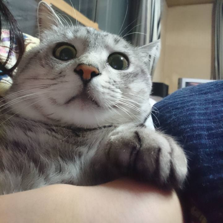 55c9f30c d331 4db5 a34e f48536c70c59 1544414976651