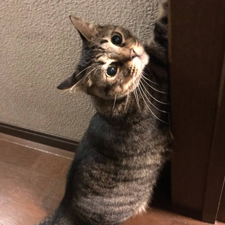 55c9fe80 1080 4ac6 87be c27d907d411f 1560777869930