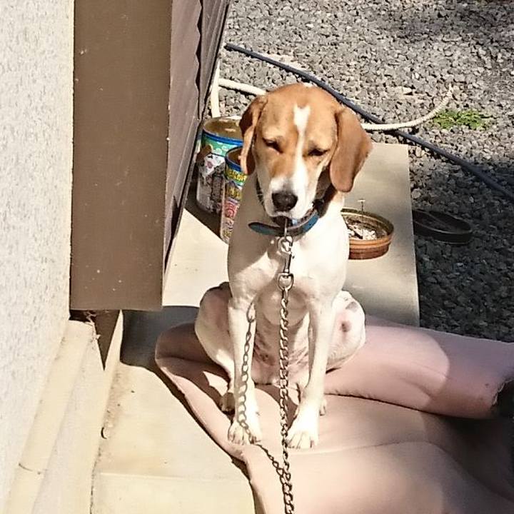 55ca25e5 bad3 4c5a b0a3 7955ad445e18 1572494643886