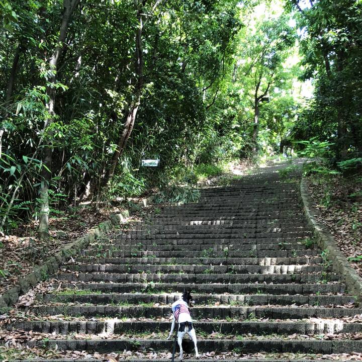 55ca4996 9ffa 4bf8 9701 123d82c324bd 1535184801135