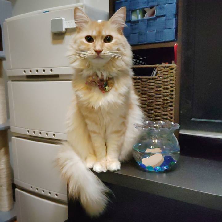 55ca7e9f 1cea 4035 9c9e b8c850b6913e 1697550296314