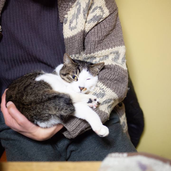 55ca849c 2708 498e b687 1924028154be 1550939380535