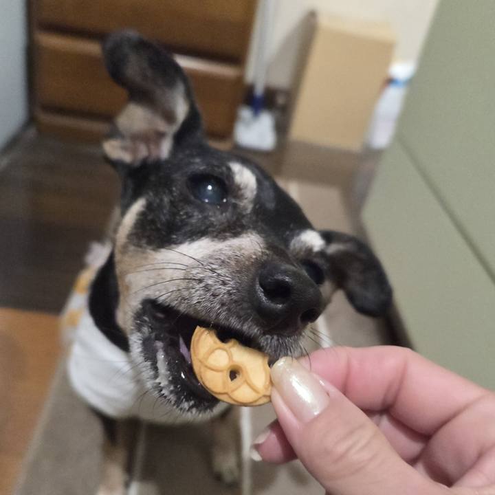 55caacdc dea3 49e1 9be7 9429ccc9e73e 1755632243986