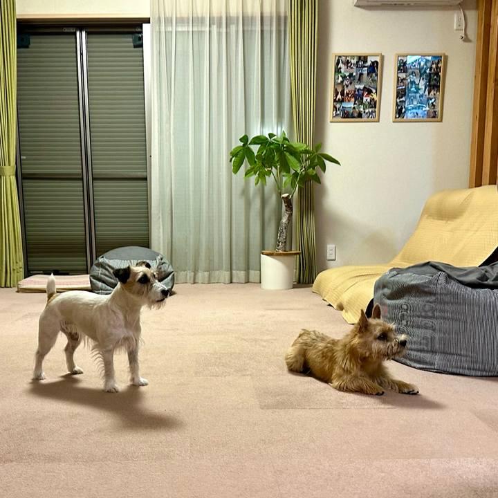 55caf4c9 3999 46cb a783 97af6fca19ac 1716732179126