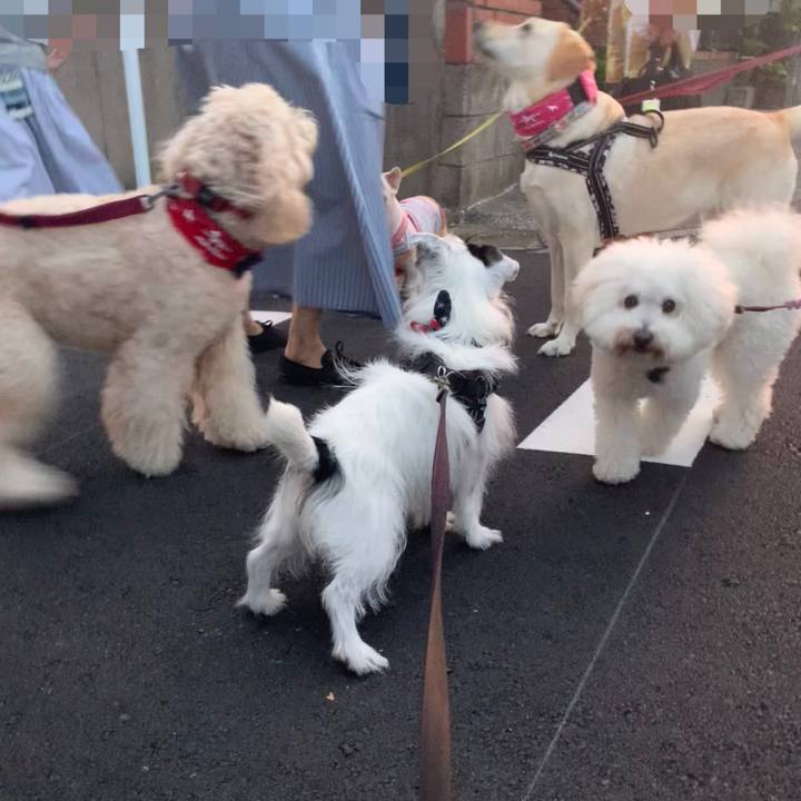 55cb02ae 4fc3 4c1f a667 0ef6cbe3a8de 1756461701495