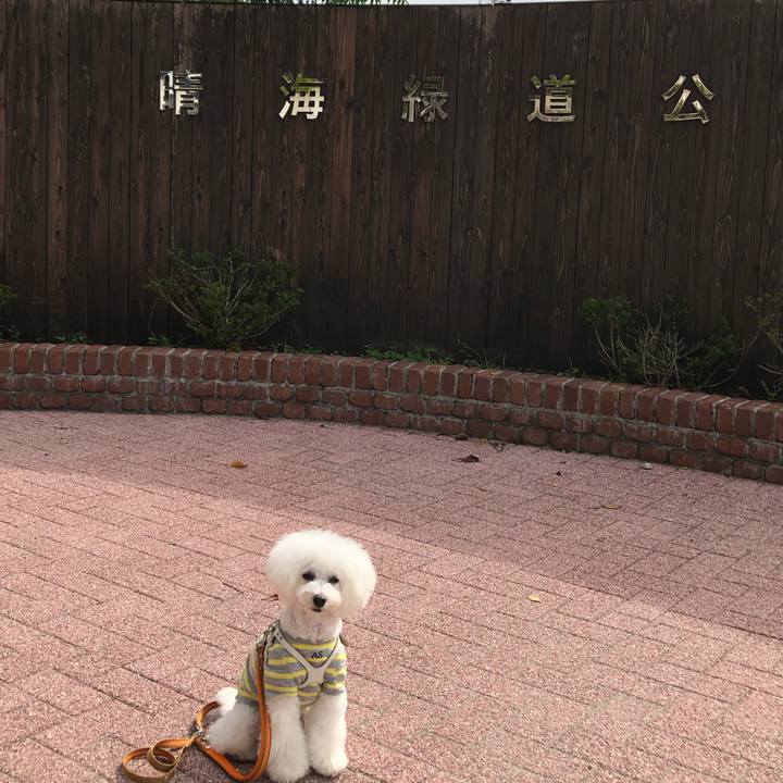 55cb5387 e0c8 47b4 9c84 759fa47fcdd6 1665299354393