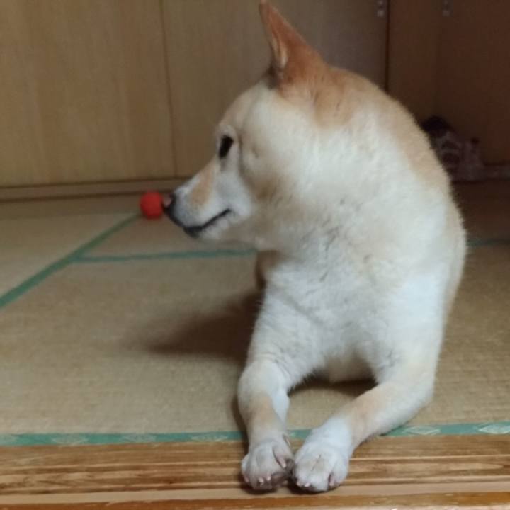 55cb9b6d fba4 4a91 956b 443c26ed4d86 1594940916132