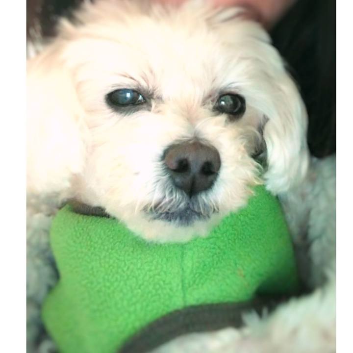 55cbb7b2 07c5 4f7c 9c2b 3a2a82ca1e84 1675578027393