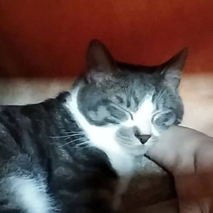 55cbbae3 841f 407a 8159 95aca371e13b 1587102156893