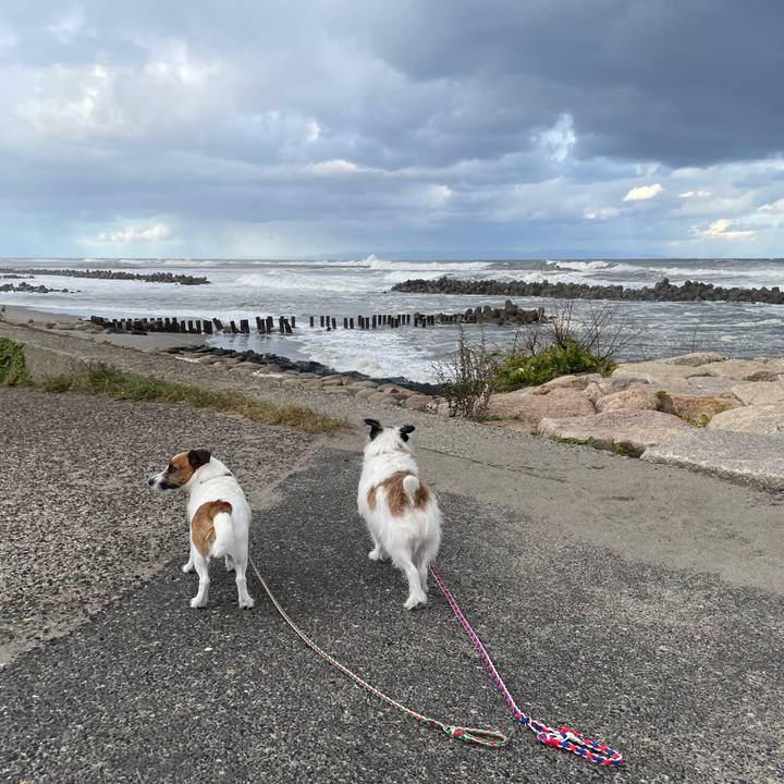 55cbcf01 e762 4bf2 9431 8ca813c630aa 1729378109461