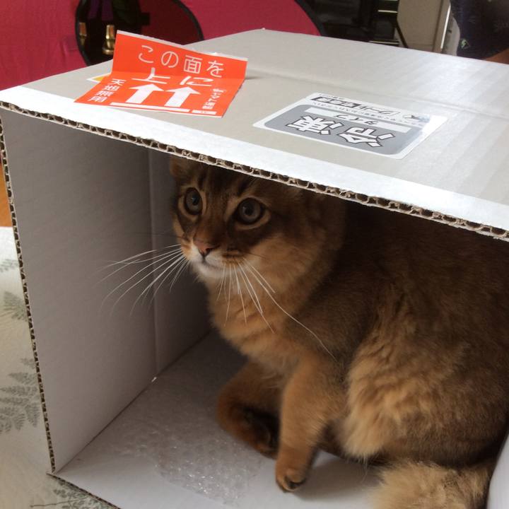 55cbdc10 211b 4e82 9fc3 579a7cadc02b 1575686247829