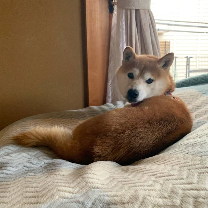 55cbf91e 94ba 425e 8a6b b65d5daddf71 1611402128572