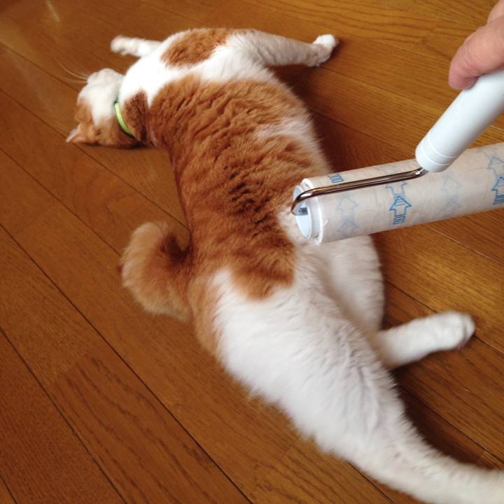 55cc2861 2c35 4a0a a658 ab9e7bf80b00 1511046400880