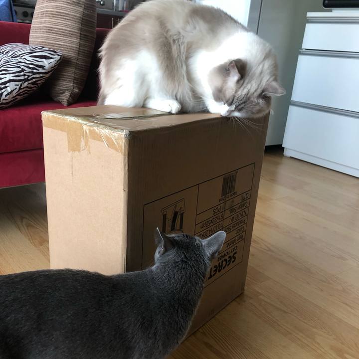 55cc59e0 4463 4358 9b3d 1680a9d966df 1571021044641