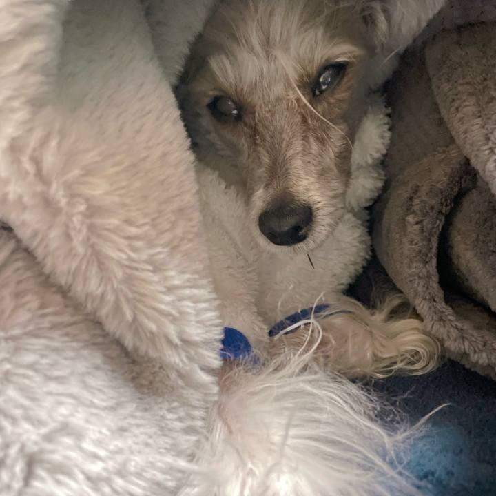 55cc5e2a d364 4cd6 b887 ac04ad9e22a5 1768023057427