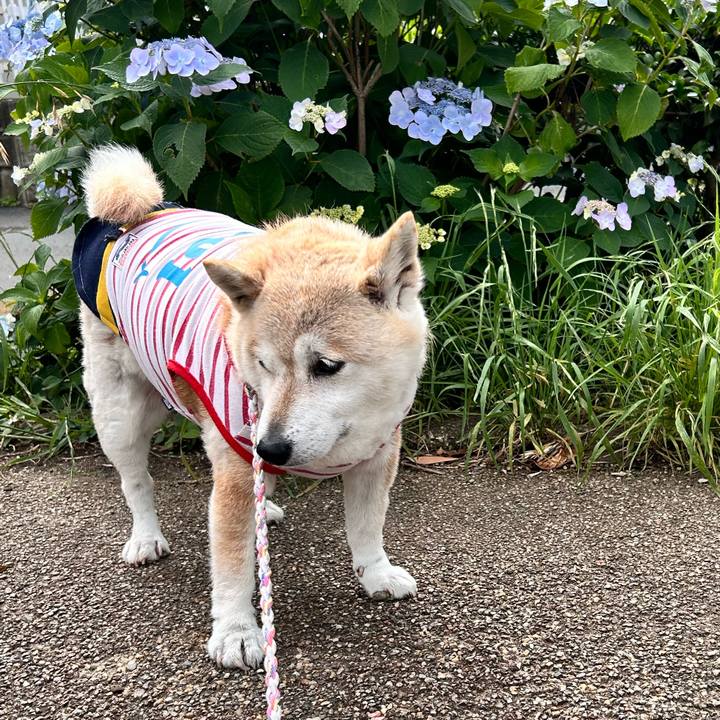 55cc93df 86e8 45eb a24e cf6051d57e19 1748219074231