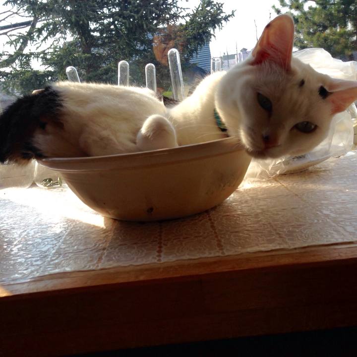 55ccbf03 6737 4e8d ab0d 550cd56818b5 1524869071412