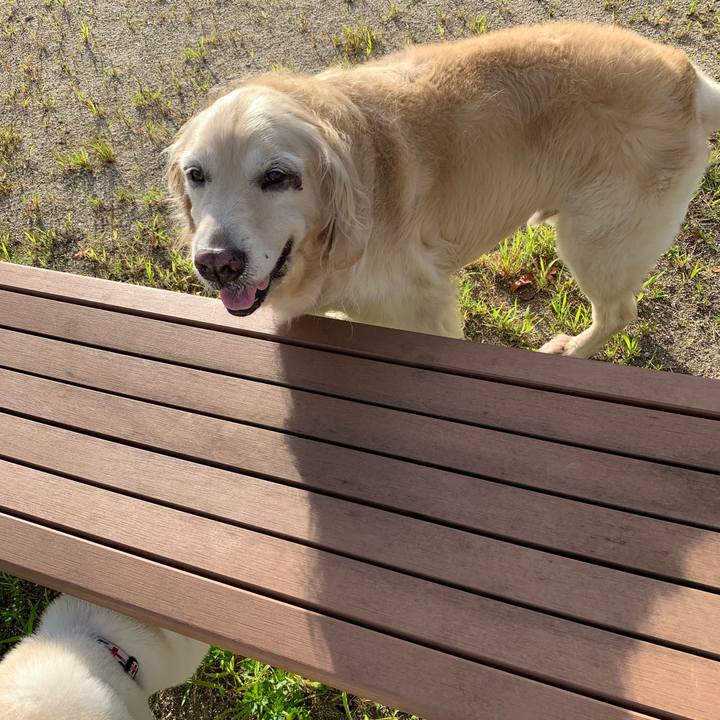 55cccb32 b3e8 48dc 9173 9923d2505336 1565218985963