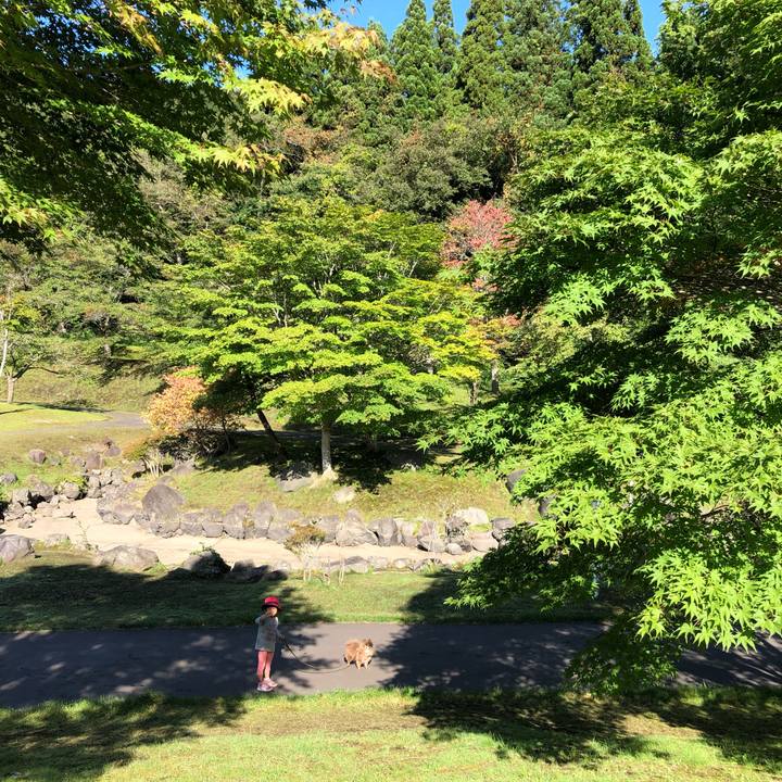 55cccbeb ed1a 4101 bd5e d3f135194134 1601354517282