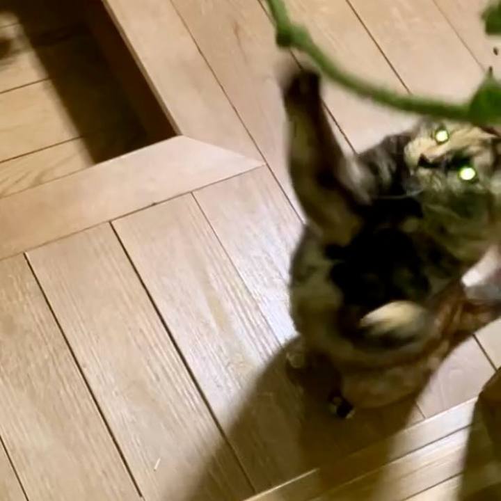 55cd5878 7d09 4a49 b5cc 963a2251647f 1737403792686