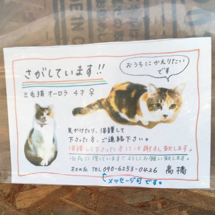55cd5bcc bc34 476b a35a f5133beeeb18 1522156355477