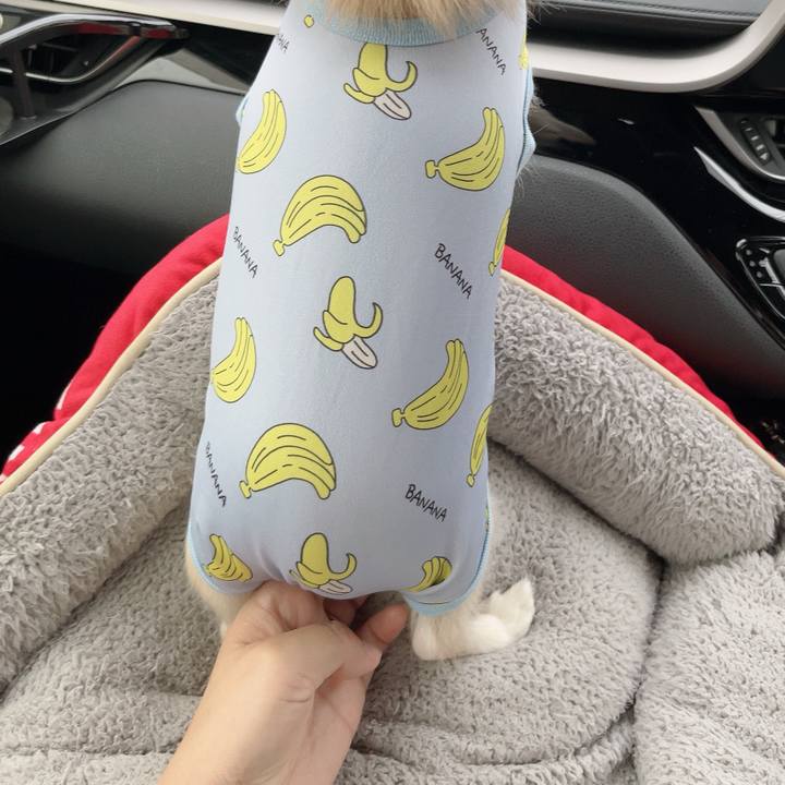 55cd83eb f257 4d8e 8738 85f461899062 1728117604621