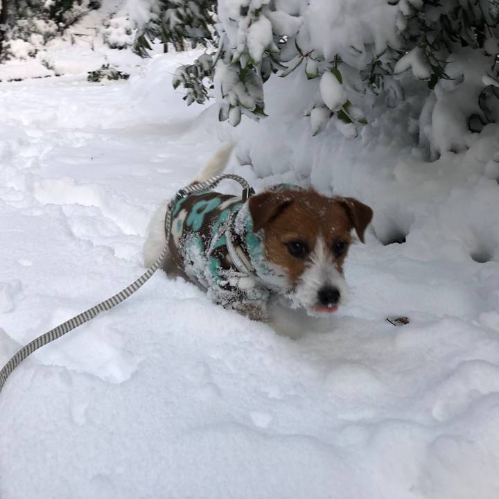 55cdb571 cd1e 43c3 8546 7a57c91bce2b 1541904890084