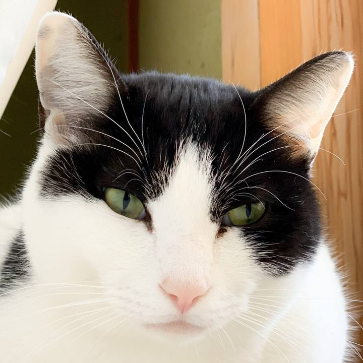 55ce1d53 b1ea 499a 9660 9253a5effb97 1583199113075