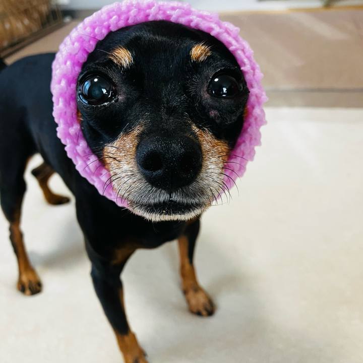 55ce2ffa adac 41af 97a9 bad3140d990a 1759326853813