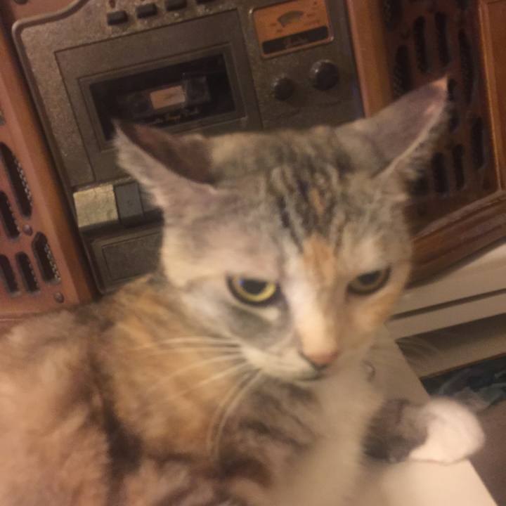 55ce5d0f 17f6 41b1 87e3 4e01aec33045 1570273849768