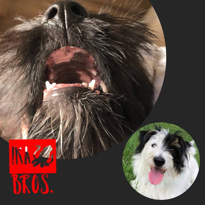 55ce780e ab98 40f8 a2f1 10e7d6d28c42 1533250696278