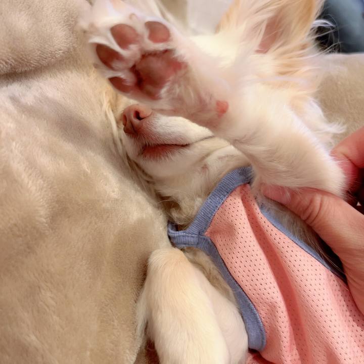 55ce9015 67f2 4dad baa7 7c70165e74d9 1713702228709