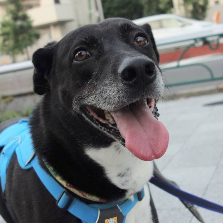 55cee151 3587 4898 a216 b7b53a39c773 1687864729621