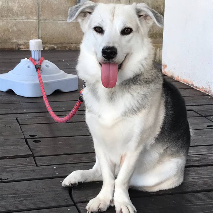 55cf1337 0be2 41b0 a478 3c6b95599a2b 1579608241276