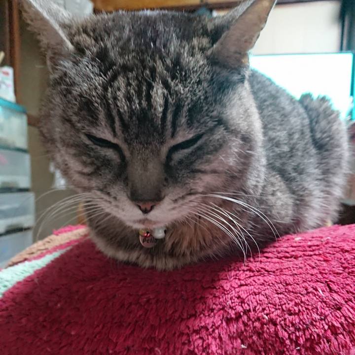 55cf1650 135f 4c7e ad6e e70ef170a4c5 1554325151628