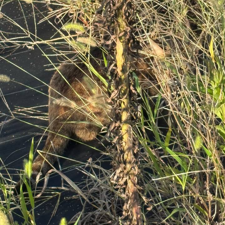 55cf1899 4c83 4251 891d 03340eb743cd 1758695496199