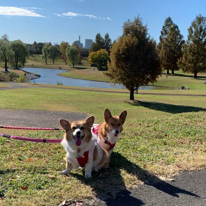 55cfc5e0 811b 4eab 9a97 776c9bb176ba 1606095658482