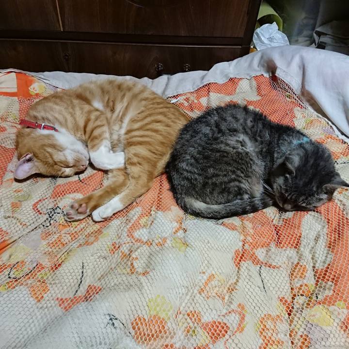 55cff699 0903 4644 8a86 4cfb2e343214 1570973951943