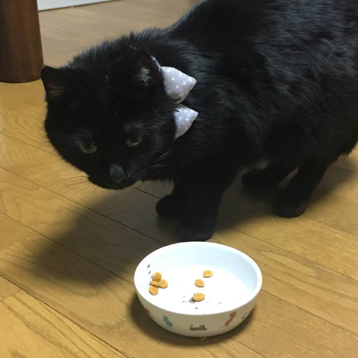 55cff6c3 aa81 48a1 8c08 0d0a8246b01f 1544535224059