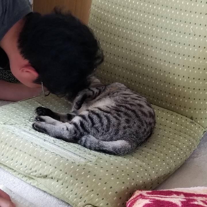 55d01205 4c20 415c 973c 264b70bd7ac7 1688222044663