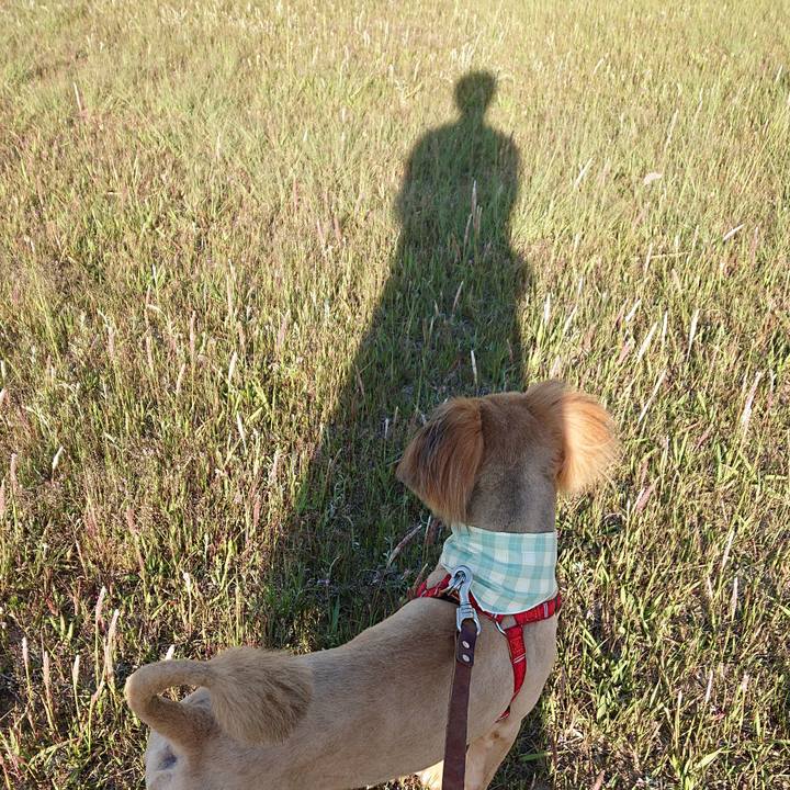 55d0242e d3e0 4437 9f99 8b5ee869b14d 1557223919497