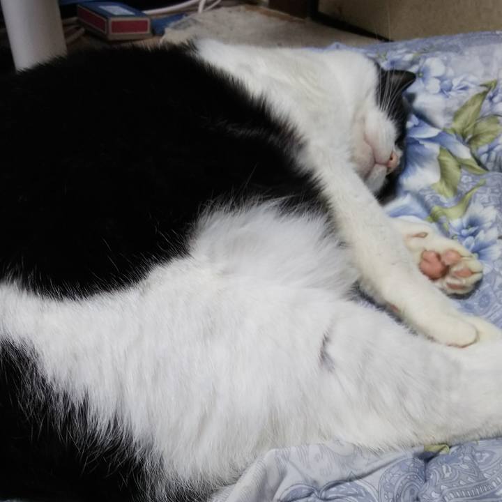 55d028ce fccb 4e44 92b4 c0357a12991f 1546606822128