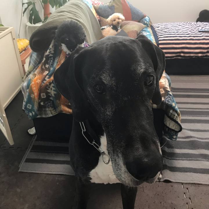 55d02c8a 8fd9 498a 8ee3 5a1bb4d49612 1541026132010