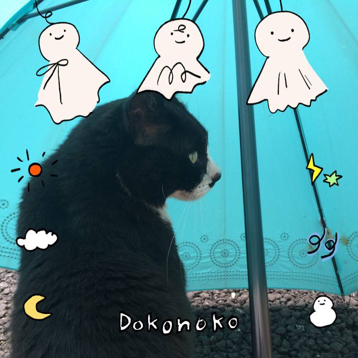 55d02d23 9317 4949 ac8d 3c8c12539b52 1749343252958