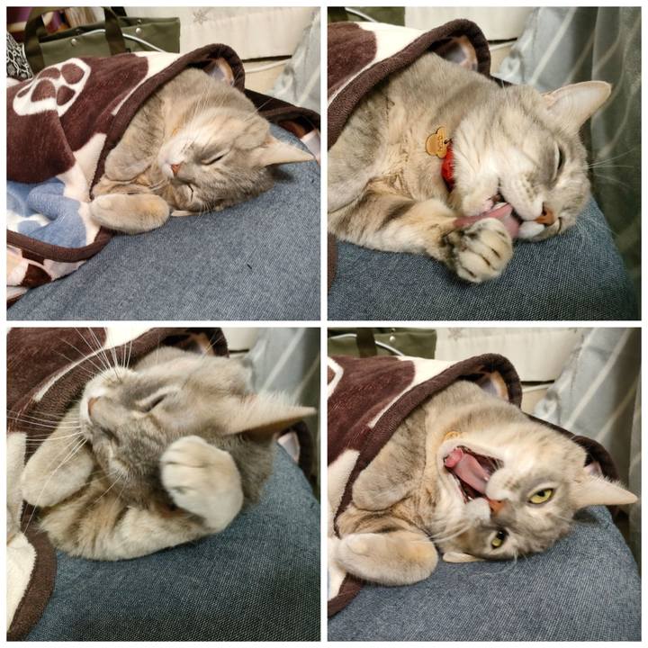 55d02fe1 5531 485b a1f6 30bc1c223684 1641627704949