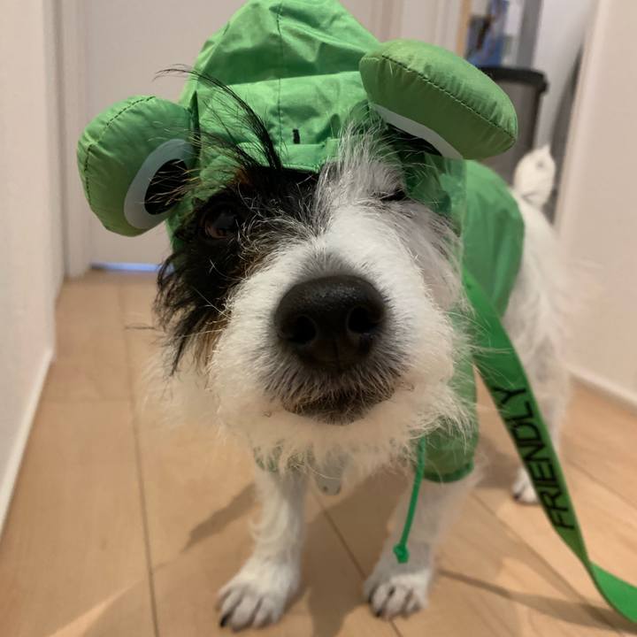 55d04114 00cf 4226 9940 44afbbd125b4 1554864195719