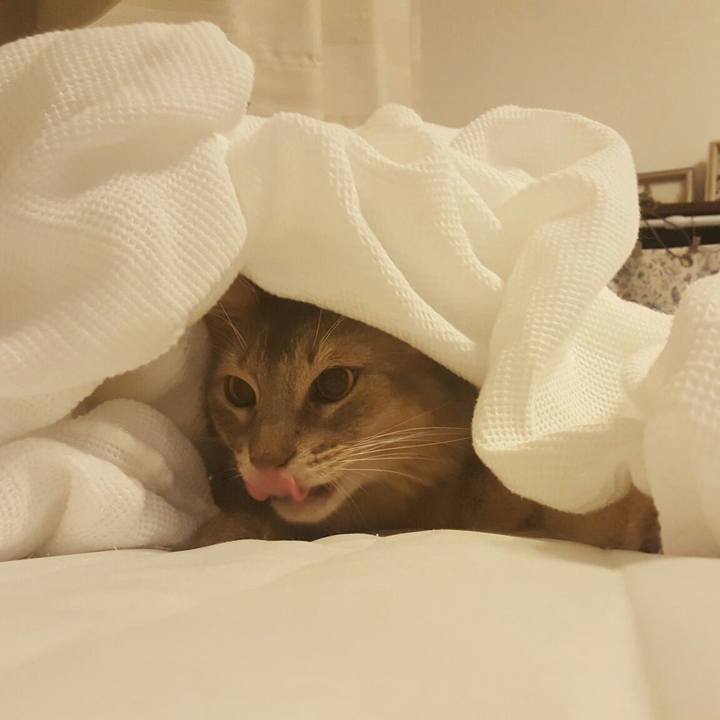 55d0b1ac fbe7 4d14 9b42 1492b98eb5d2 1564317839659